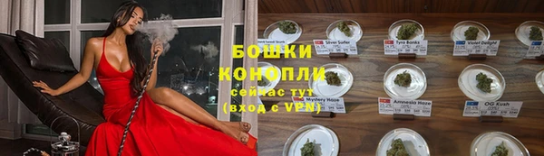 стаф Магадан