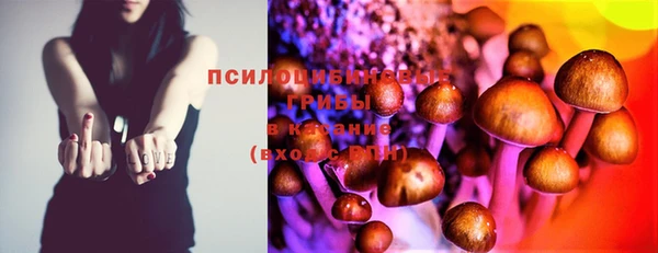 MDMA Гатчина