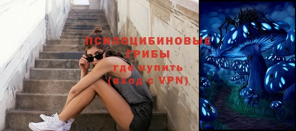 прущая мука Мегион