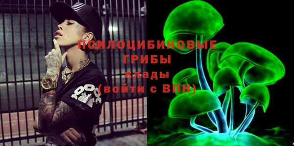 молекула духа Медногорск