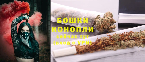 молекула духа Медногорск